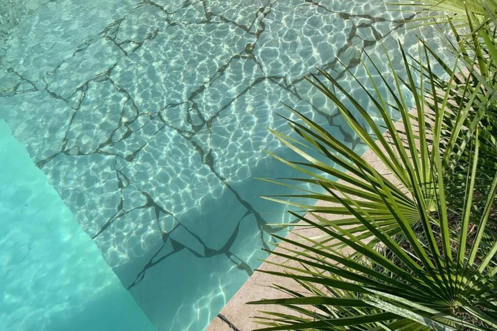 Villa Des Oliviers Avec Piscine Chassagny Exteriér fotografie