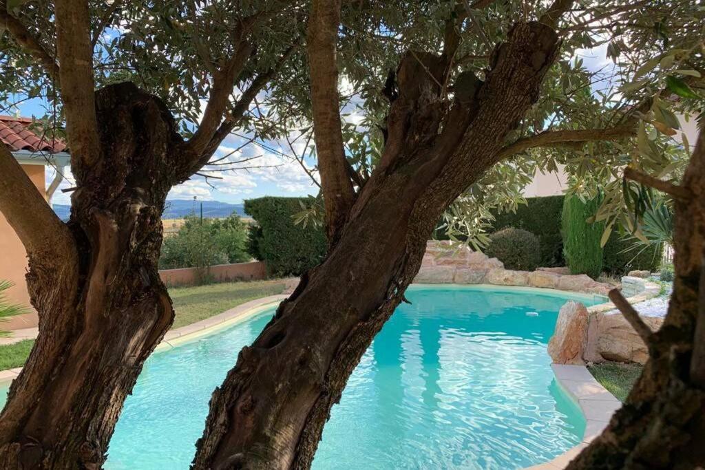 Villa Des Oliviers Avec Piscine Chassagny Exteriér fotografie